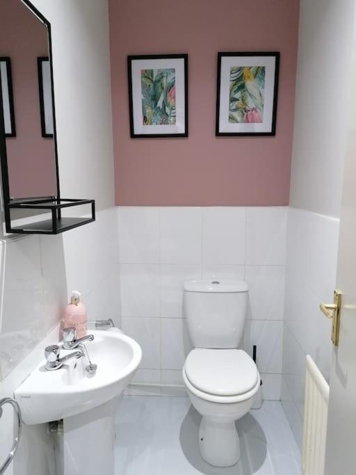 Stunning 3 Bedroom Townhouse In The Heart Of City เบลฟาสต์ ภายนอก รูปภาพ
